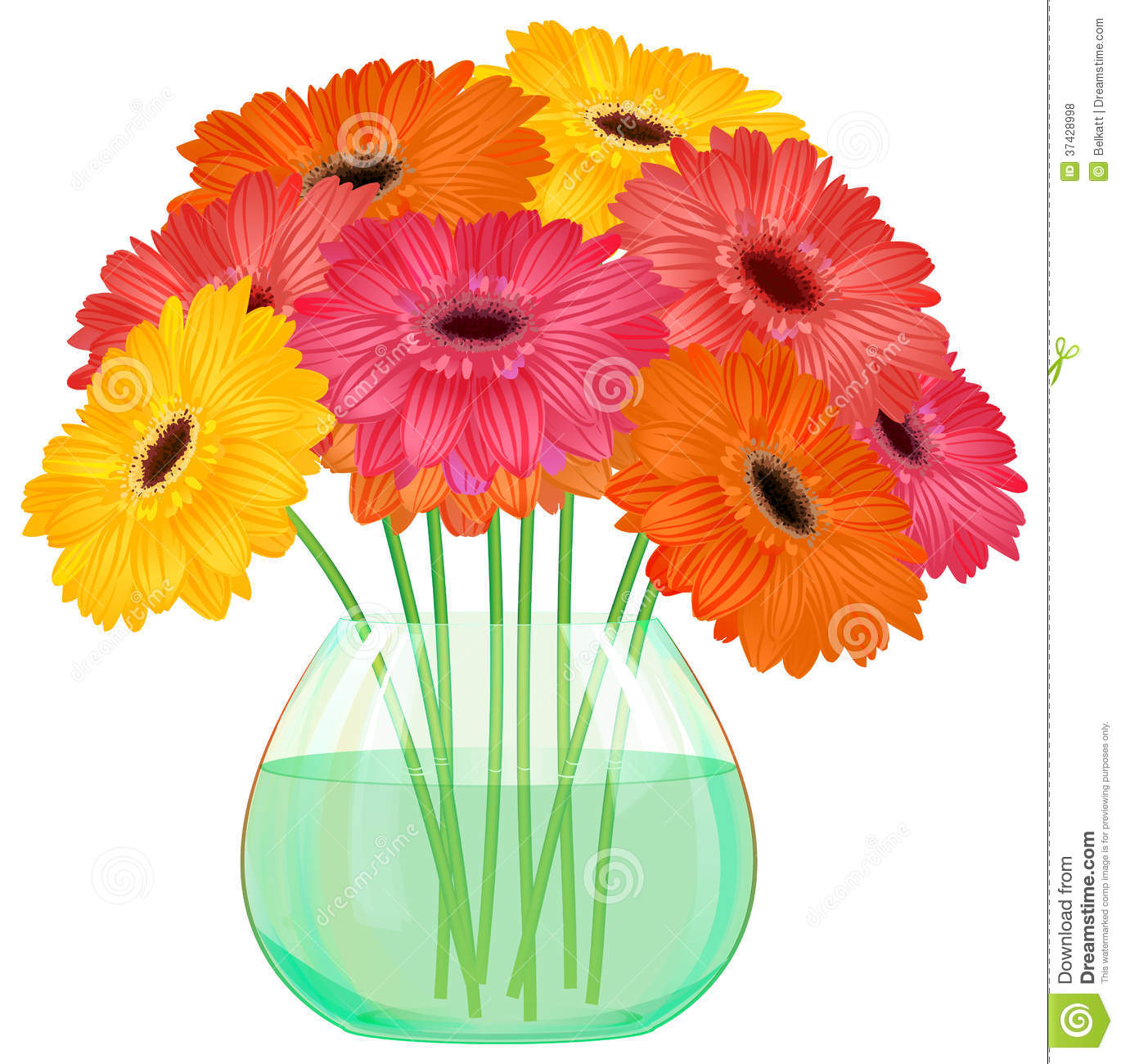 Daisy Gerbera Flower Bouquet In Glass Vase On White Background Vector