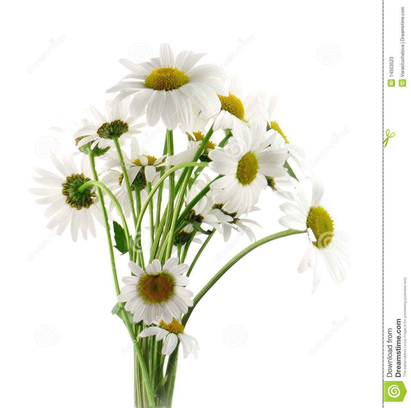 More Similar Stock Images Of   Bouquet Of Daisies  