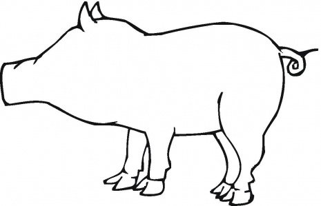 Pig Outline Coloring Page   Super Coloring