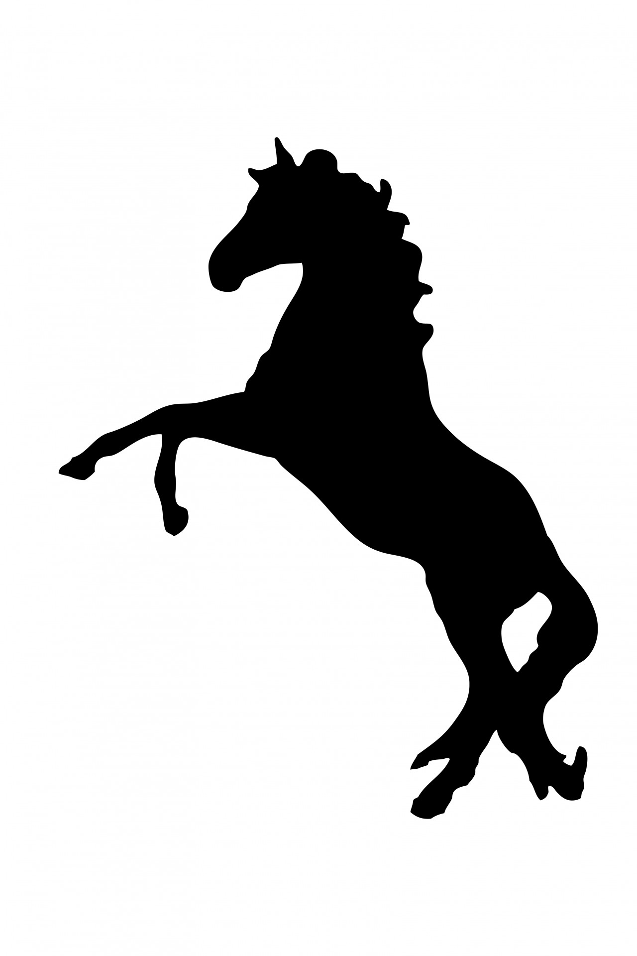 Rearing Black Horse Silhouette Free Stock Photo Hd   Public Domain    