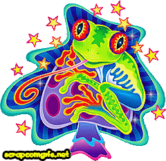 Frog Hippie Hippy Glitter