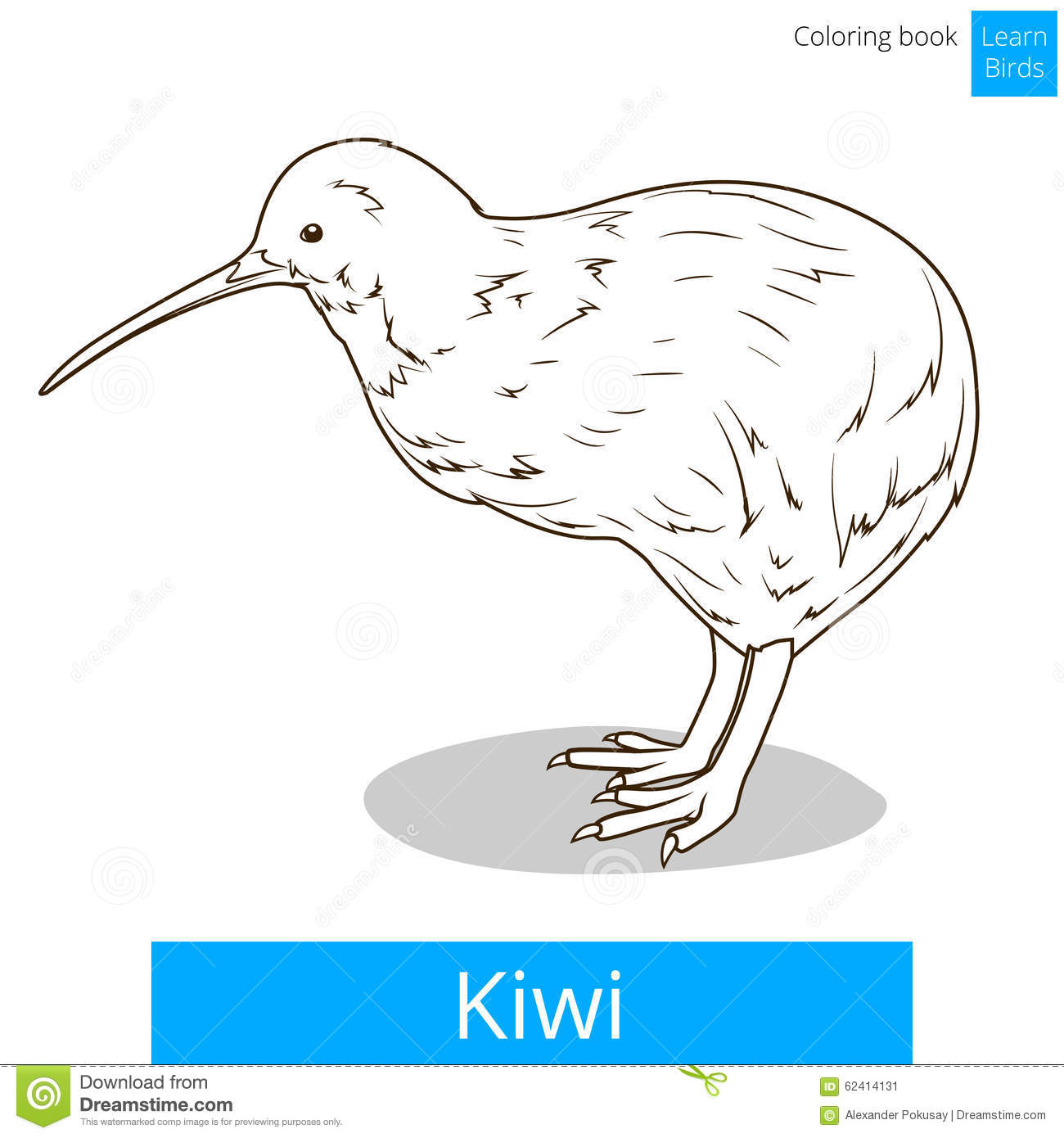 Il Kiwi Impara Il Vettore Del Libro Da Colorare Degli Uccelli