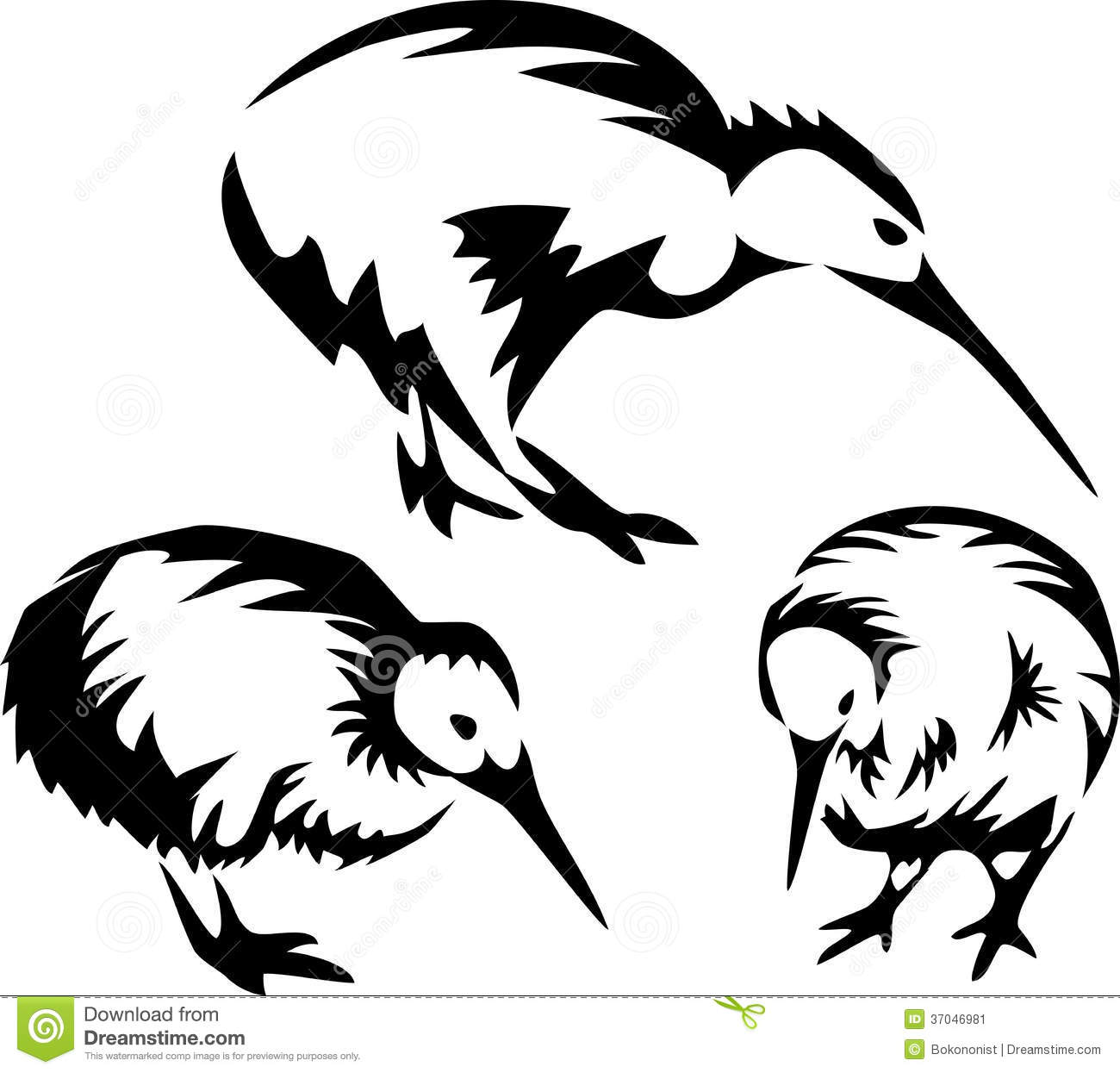 Kiwi Clipart Black And White Kiwi Bird   Stylized Black And