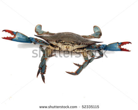 There Is 24 Bushel Crabs Free Cliparts All Used For Free
