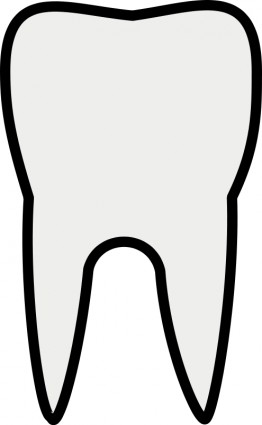Tooth Outline Clipart Free Vector    Vector