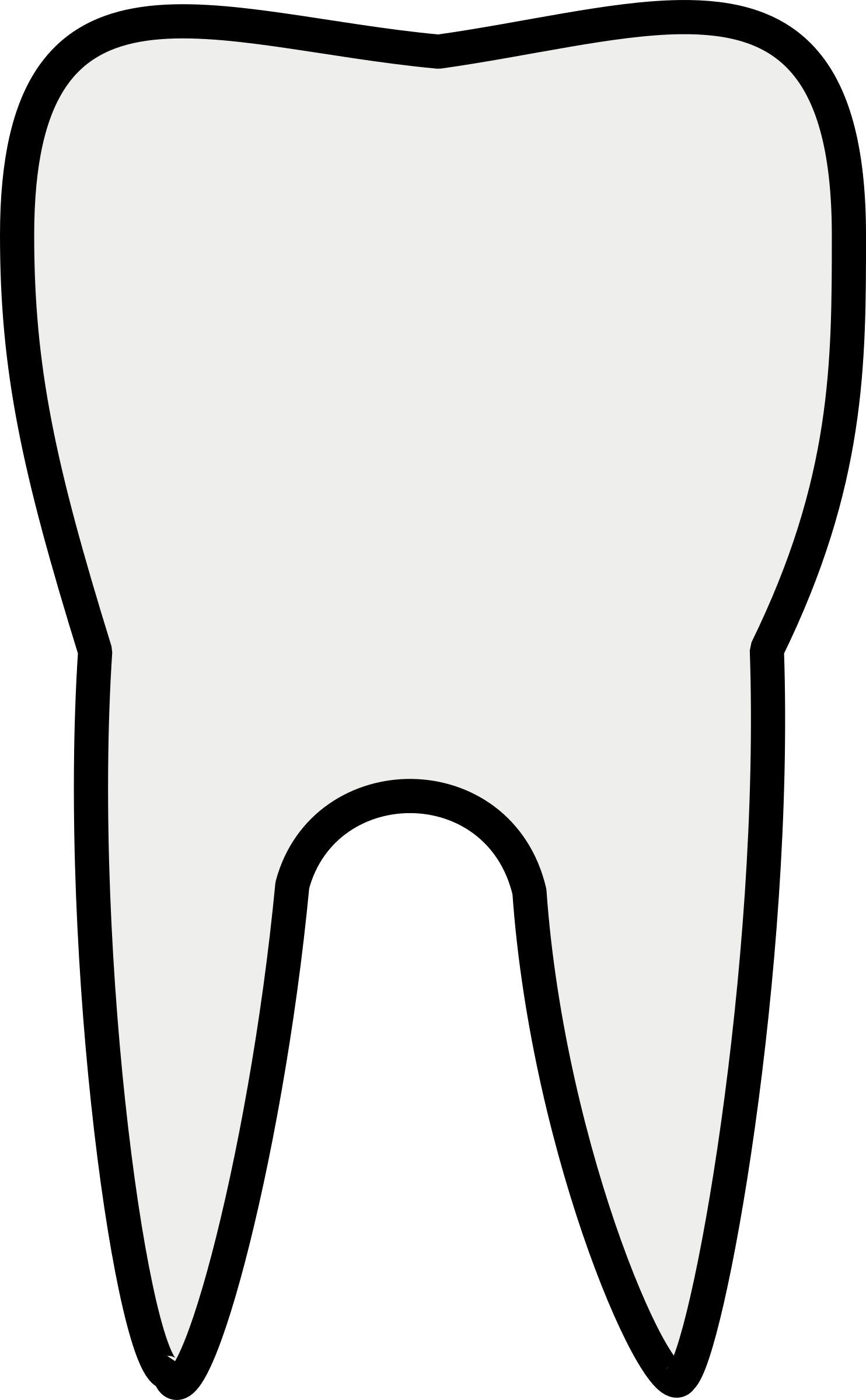 Tooth Outline   Free Cliparts That You Can Download To You Computer
