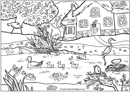 View And Print Spring Pond Colouring Page  Pdf File