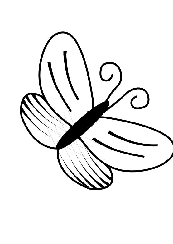 Walrus Clipart Black And White Butterfly 57 Black White Flower Shrub