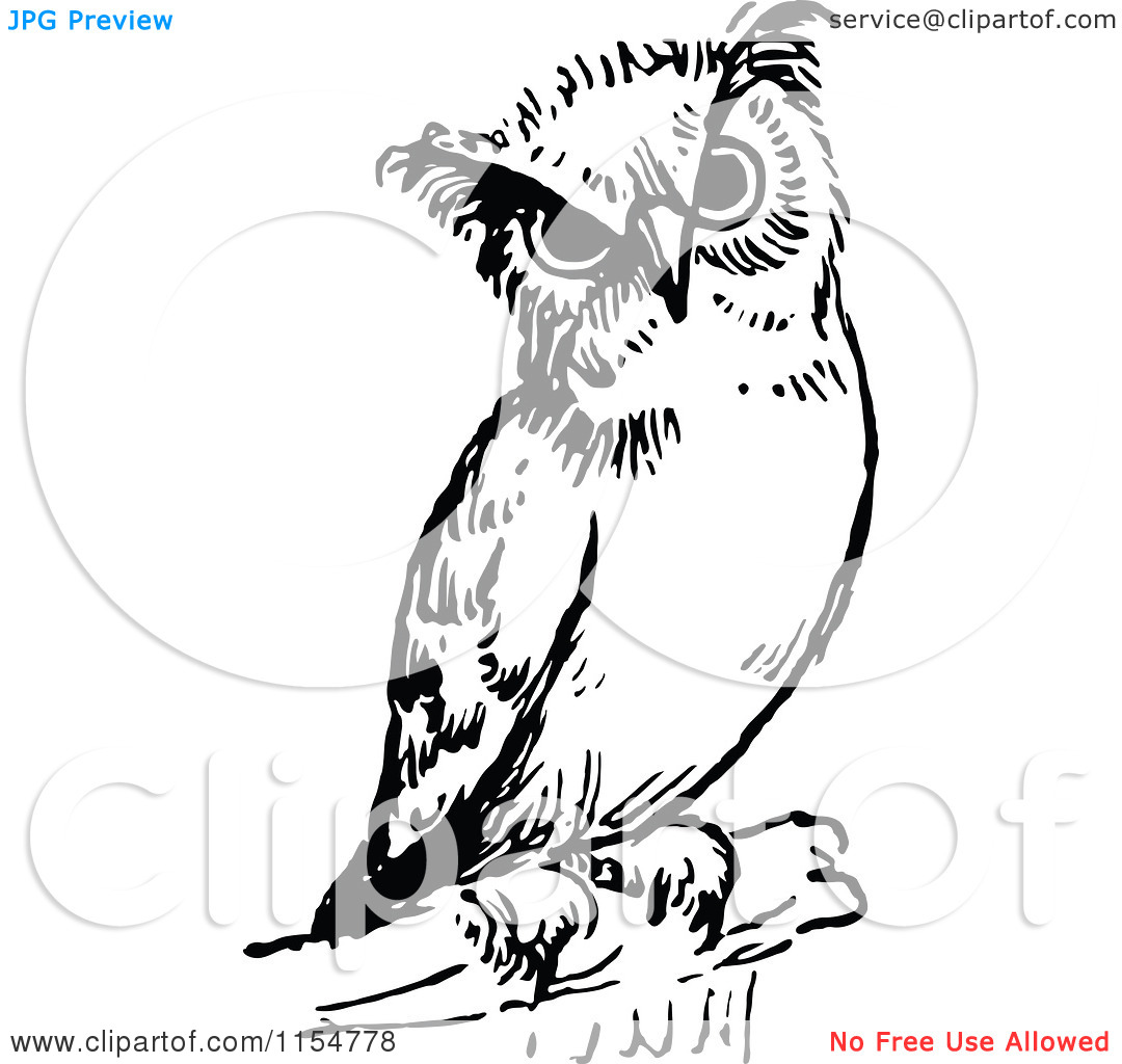 Clipart Of A Retro Vintage Black And White Owl   Royalty Free Vector