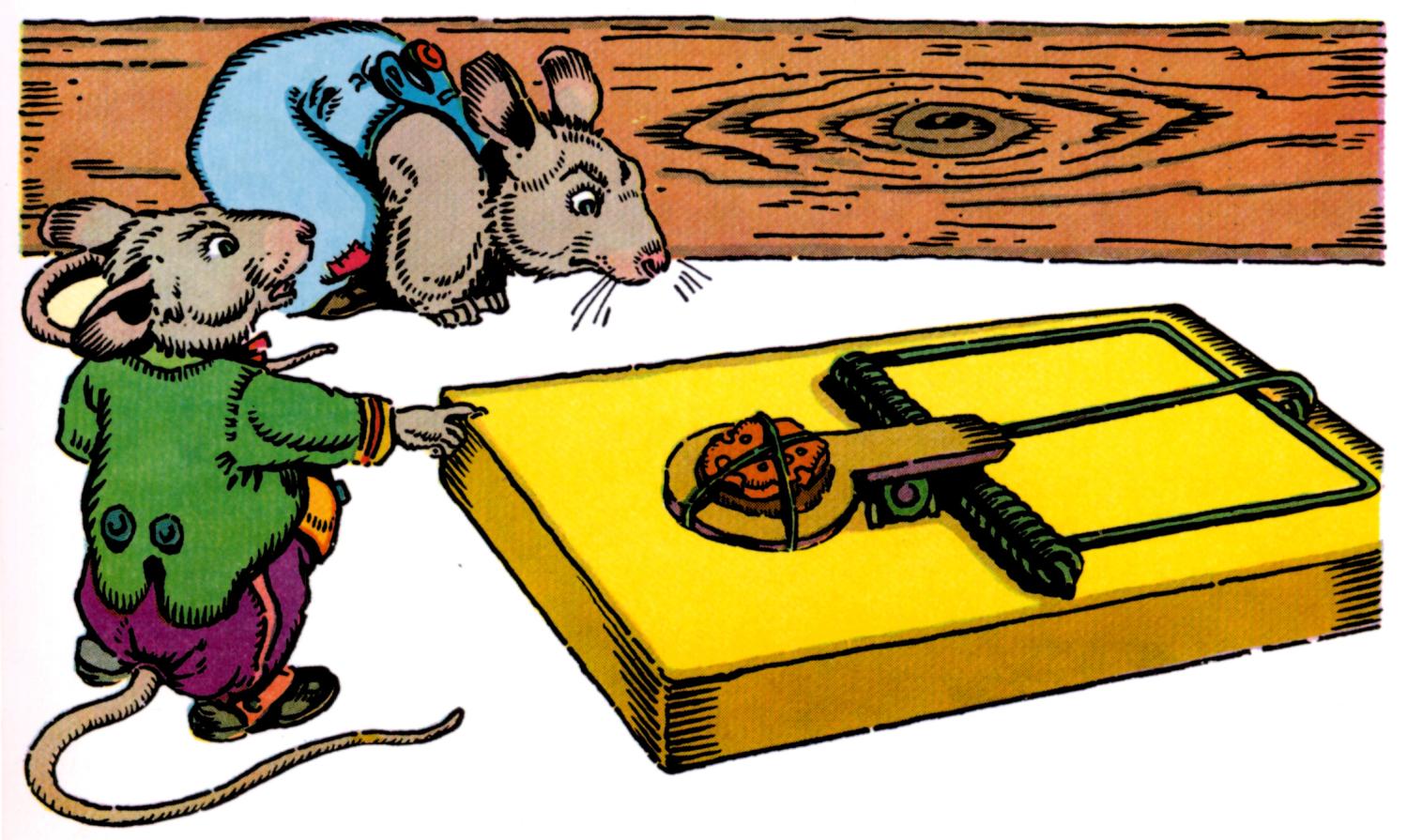 Danger Look At This Country Mouse It Is A Mouse Trap And You Have To