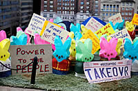 Peeps  Contest Best Of The Best