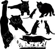 Sitting Cat Female Stock Vectors Illustrations   Clipart