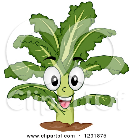 There Is 53 Kale Plants Free Cliparts All Used For Free