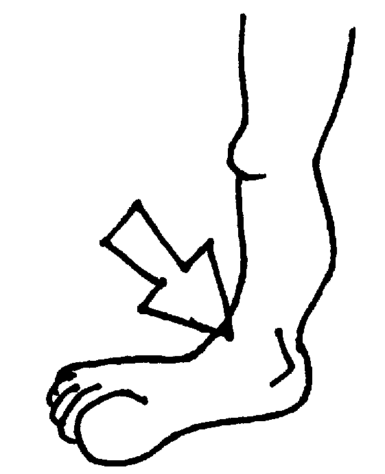 Ankle Clipart Ntb7b9lgc Gif