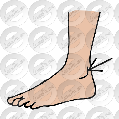 Ankle Picture For Classroom   Therapy Use   Great Ankle Clipart
