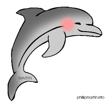 Bottlenose Dolphin Clipart   Clipart Panda   Free Clipart Images
