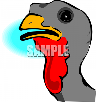 Clipart Picture Of A Turkey Head