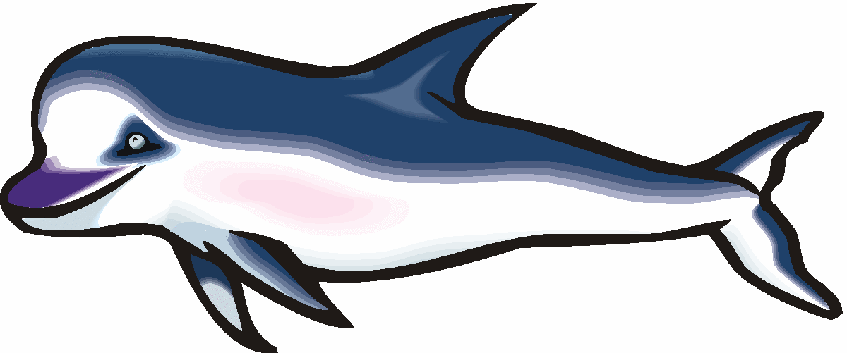 Cute Bottlenose Dolphin Clipart Graphic Illustration Mister Pictures