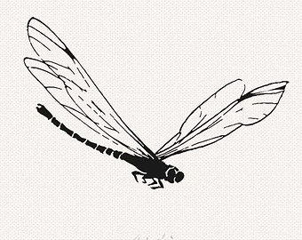 Flying Dragonfly Silhouette   Png Digital Clipart Download Transparent    