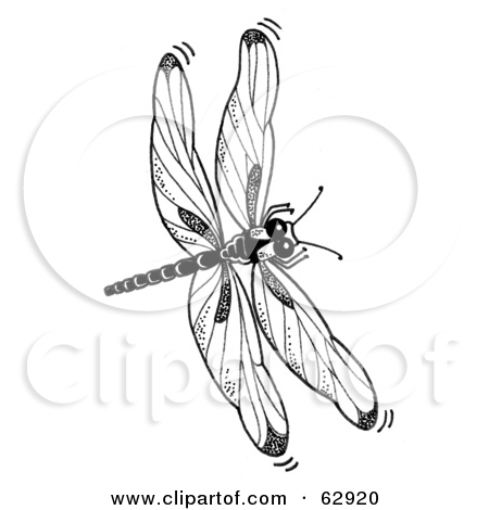 Rf Clipart Illustration Of A Black And White Dragonfly In Flight Jpg