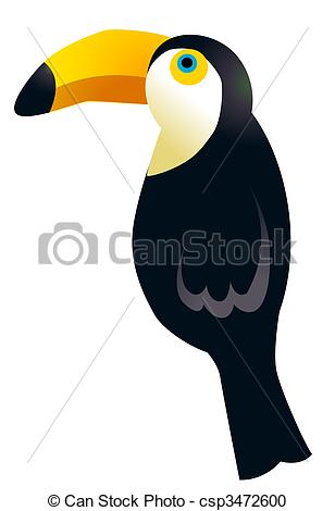 Tropical Bird Perched In The White    Csp3472600   Search Clipart