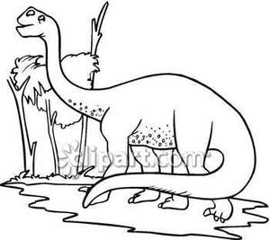 Black And White Apatosaurus Eating Leaves   Royalty Free Clipart    