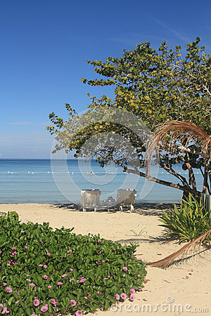 Blue Caribbean Sea And Beach In Jamaica Stock Photo   Image  62301688