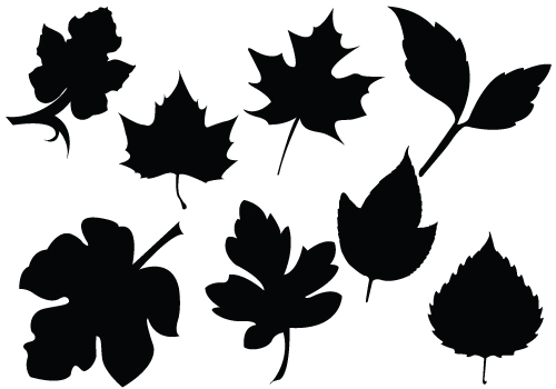 Fall Foliage Silhouette Vectors Maple Oak Leavessilhouette Clip Art