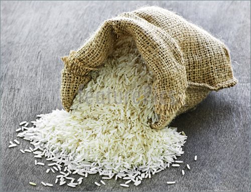 Grain Of Rice Clip Art Http   Www Featurepics Com Online Rice Sack    