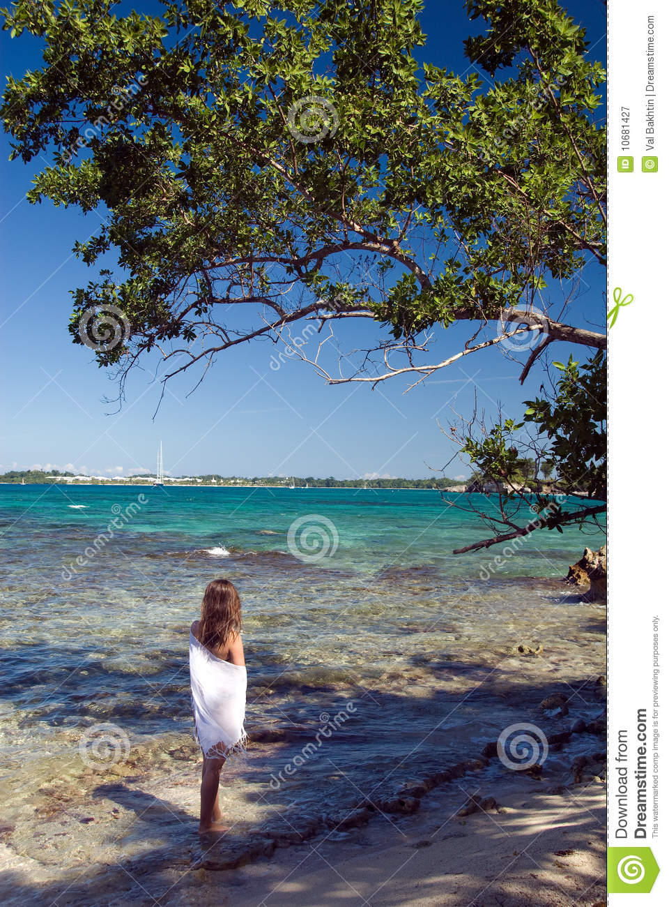 Jamaica Beach Royalty Free Stock Photography   Image  10681427