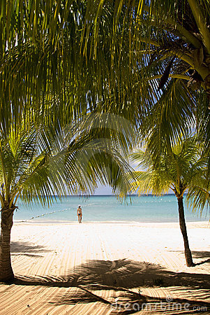 Jamaica Beach Stock Image   Image  3860741