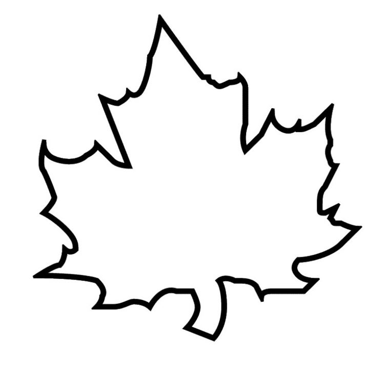 Related Pictures Maple Leaf Outline Clip Art