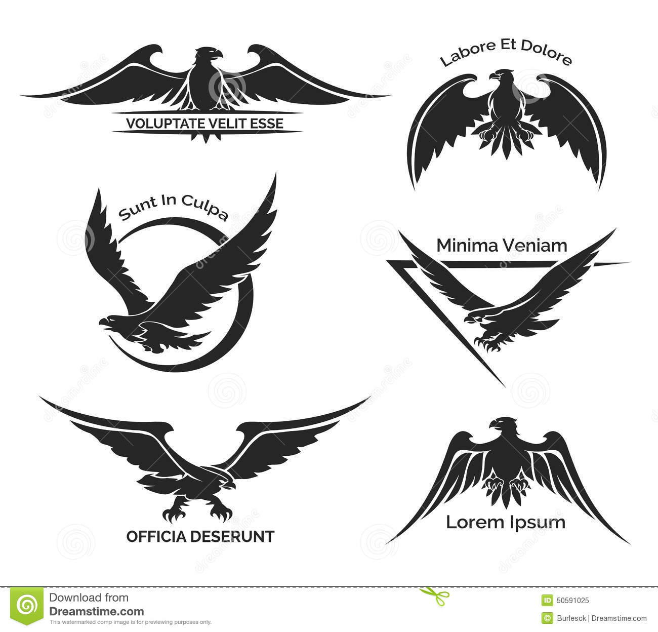 Set Of Black Eagle Logo For Business Company And Firm  Predator And