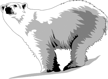 Tundra Animals   Polar Bear Clipart7 Gif