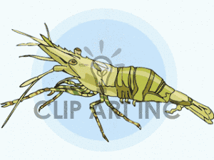 Vector Clipart Shellfish To Download Found Page