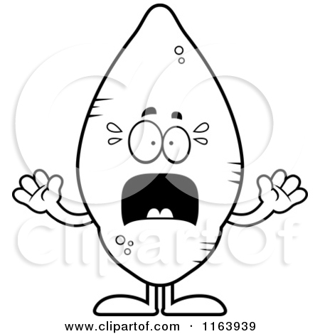 Cartoon Of A Scared Sweet Potato Mascot   Vector Outlined Coloring
