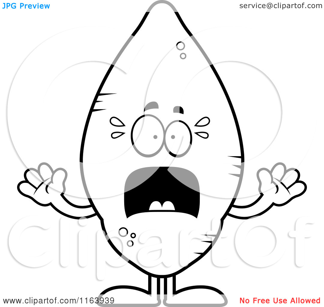 Cartoon Of A Scared Sweet Potato Mascot   Vector Outlined Coloring    