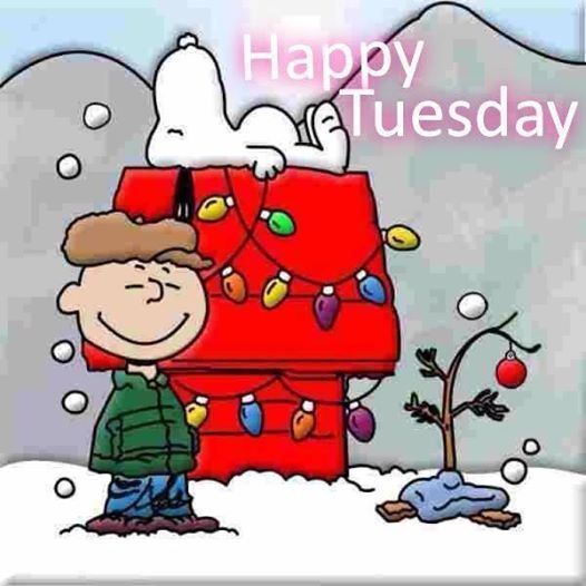 Christmas Snoopy Happy Tuesday Quote Pictures Photos And Images For    