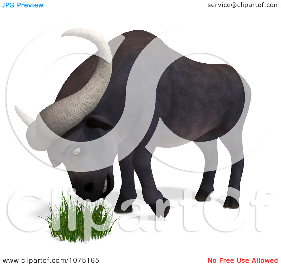 Clipart 3d Water Buffalo Eating Grass   Royalty Free Cgi Illustration