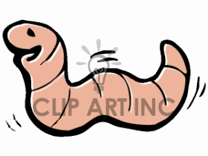 Inch Worm Black And White Clipart   Free Clip Art Images