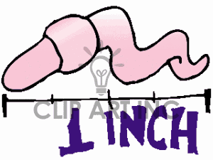 Inchworm Clipart Black And White Images   Pictures   Becuo