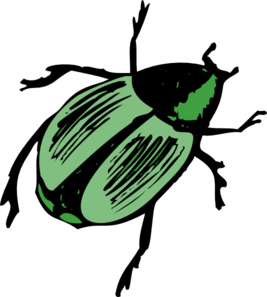 Shiny Green Beetle Clip Art At Clker Com   Vector Clip Art Online    