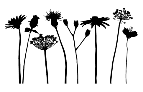 Bb Free Vectors  Flower Silhouettes   Bittbox