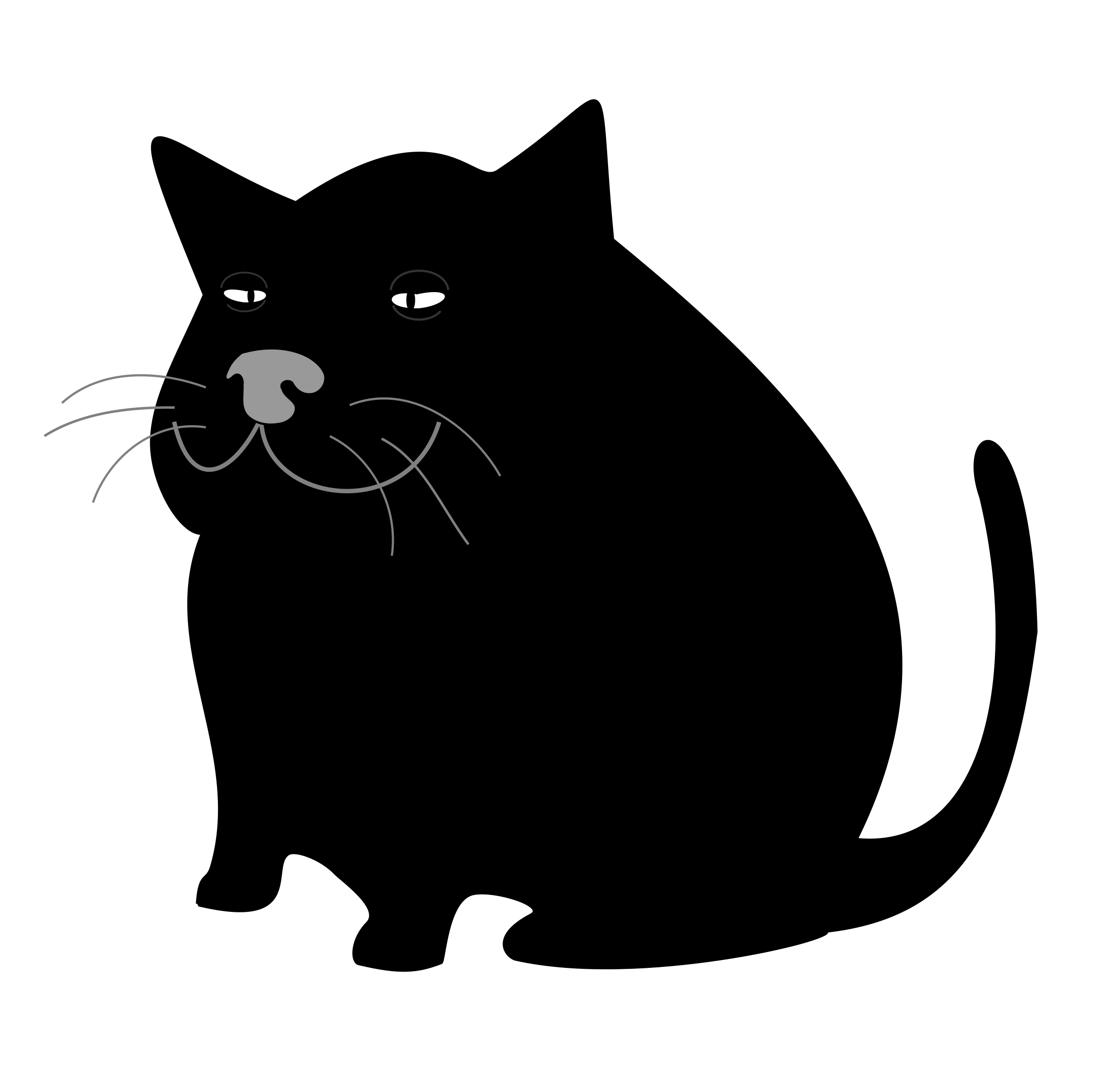 Black Cat   Gato Negro By Hector Gomez