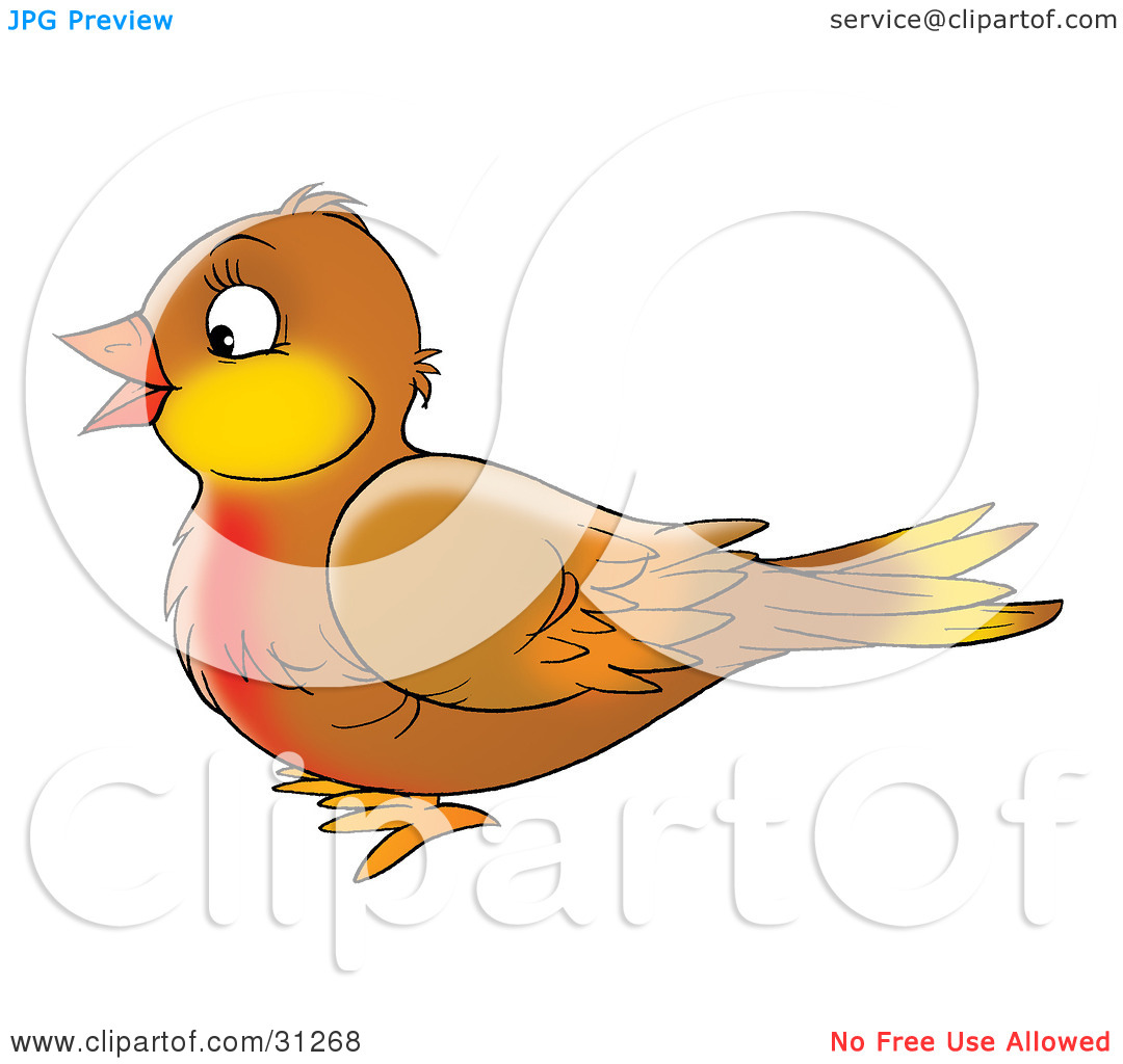 Clipart Illustration Of A Cute Brown Robin Bird With A Red Chest In