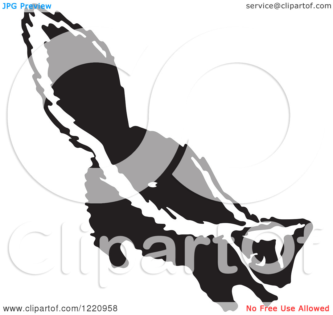 Clipart Of A Black And White Skunk   Royalty Free Vector Illustration