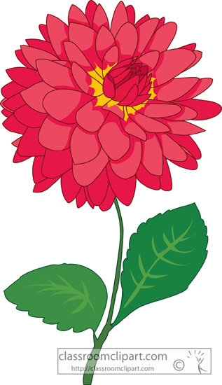 Dahlia Flower Outline Clipart   Free Clip Art Images