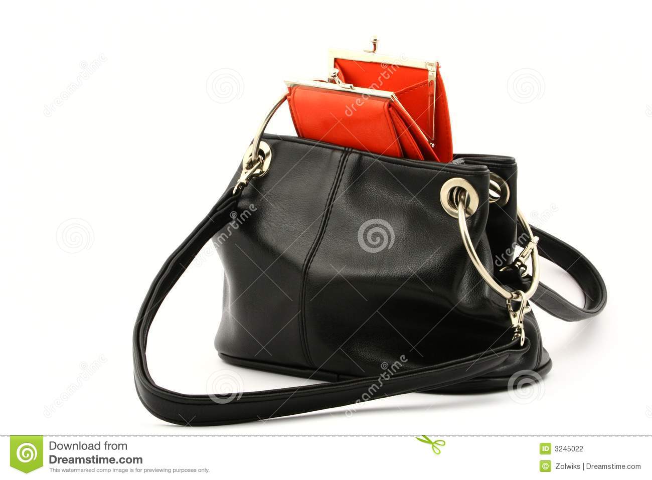 Empty Wallet In Bag Stock Photography   Image  3245022