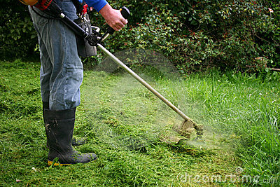 Royalty Free Stock Photo  Weedeating An Overgrown Lawn