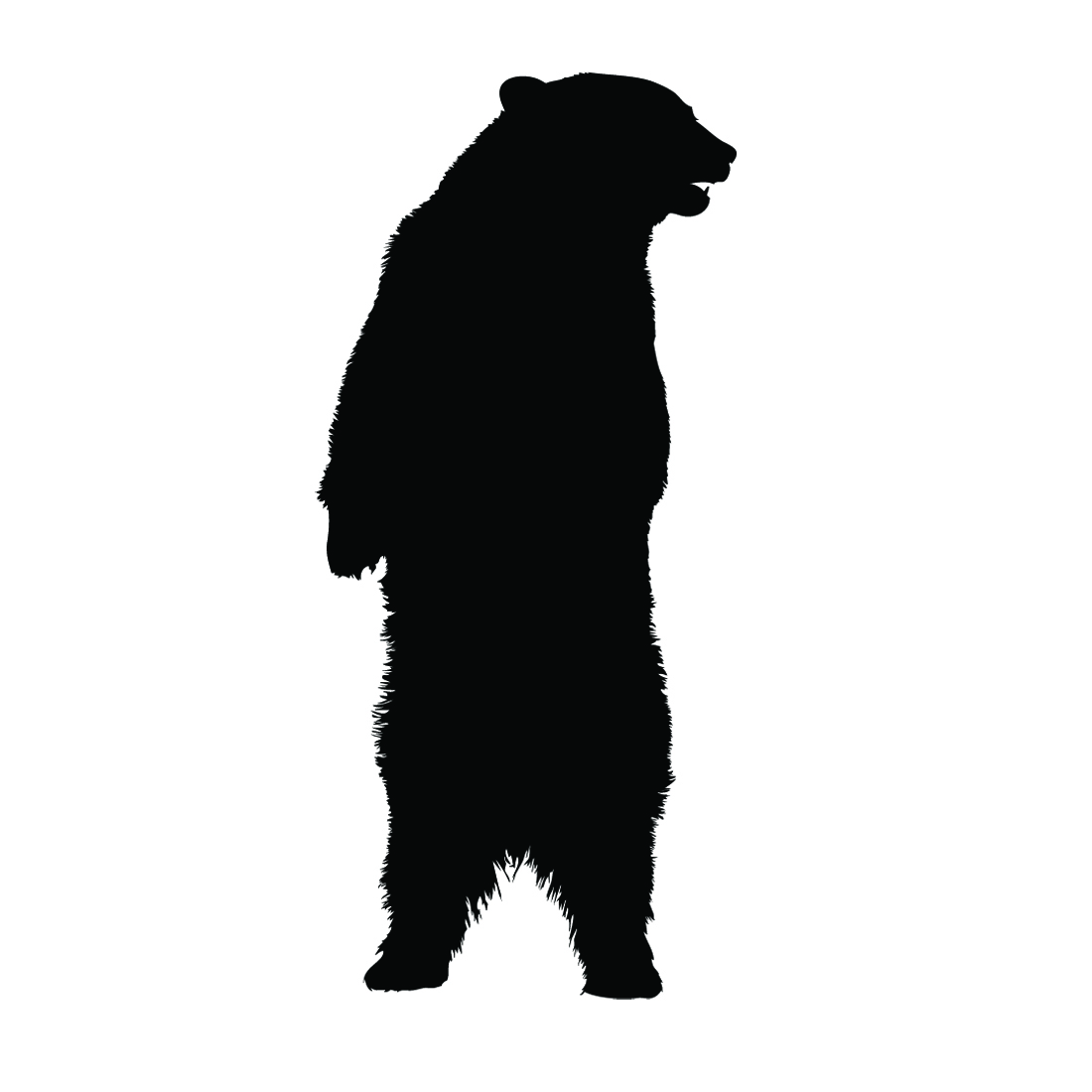 Standing Bear Silhouette Bear Standing Silhouette Thumb Jpg